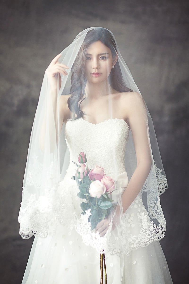 Stardust Veil
