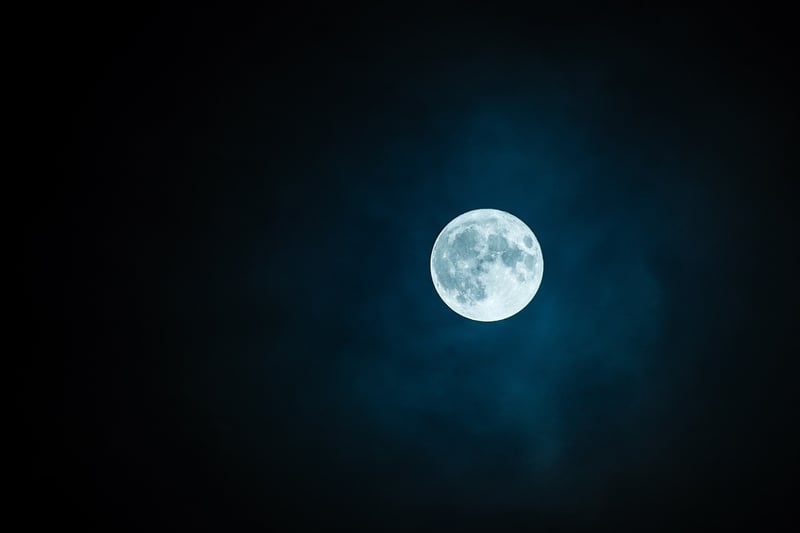 Moonlit Serenade